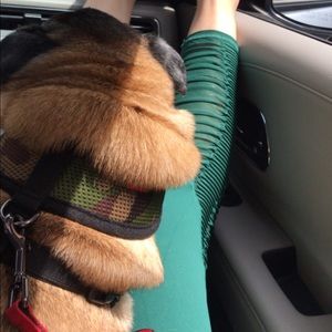 Meet your Posher, Edith